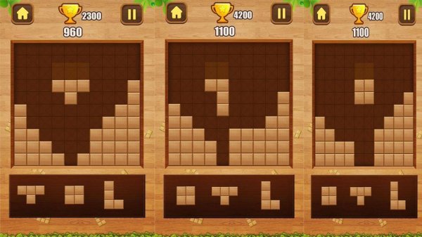 Grid Placement Puzzle