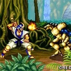 Retro Fighter Showdown