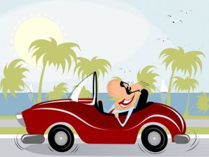 Vehicle Memory Puzzle Game