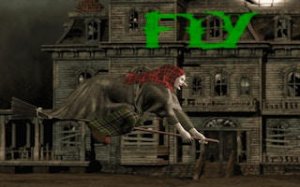 Witch Flight Adventure Arcade