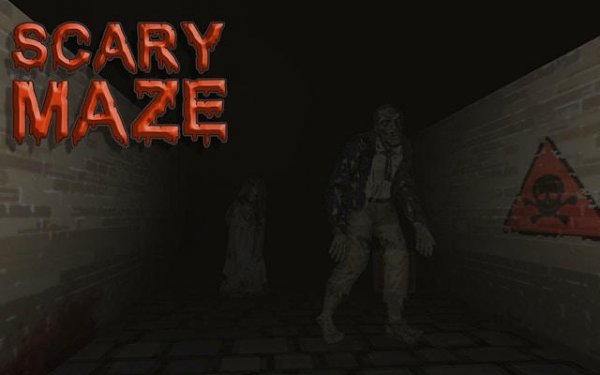 Mystery Maze 3D Puzzle Adventure