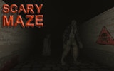 Mystery Maze 3D Puzzle Adventure