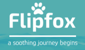 Flipfox Puzzle Game