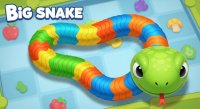 Big Snake Online Game
