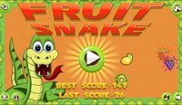 Fruit Snake Online Game